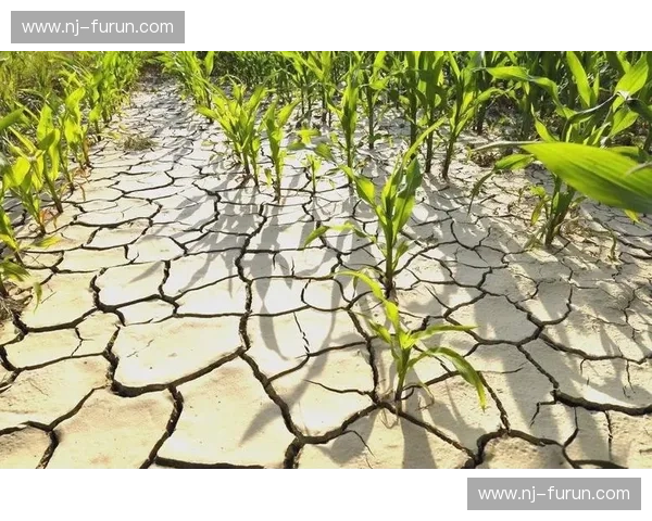 天气变化对人类健康、农业生产与经济活动的深远影响分析 天气变化对人类健康、农业生产与经济活动的深远影响分析